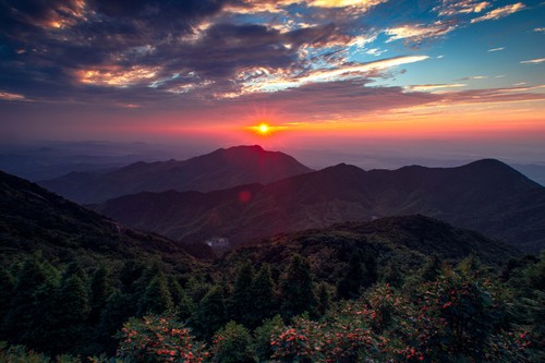 冲破樊笼-范艳军